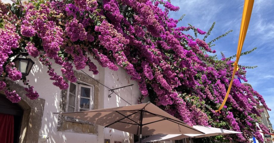 portugal europa priori travel (34)