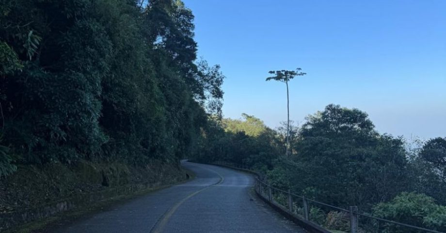 santos serra do mar priori travel (16)